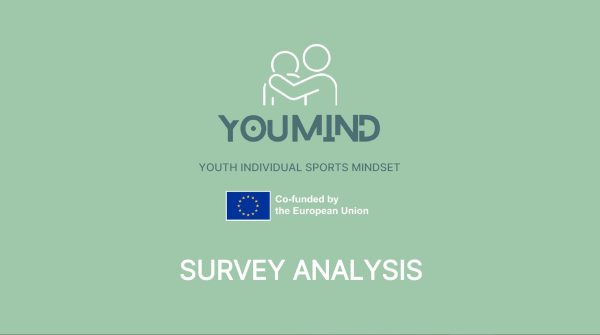 YouMind survey analysis
